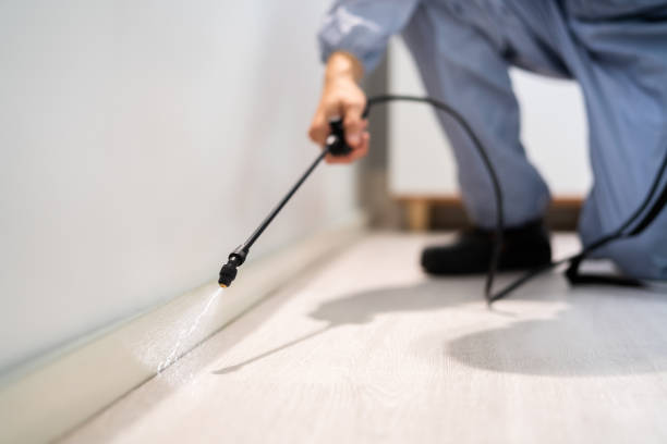 Licensed Pest Control service in Sanford, NC - Show Me Pest Control